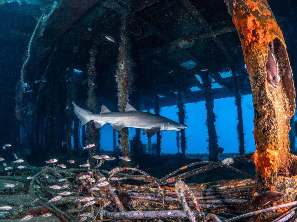 0c37c41f-82af-4b48-89da-54df25eac870