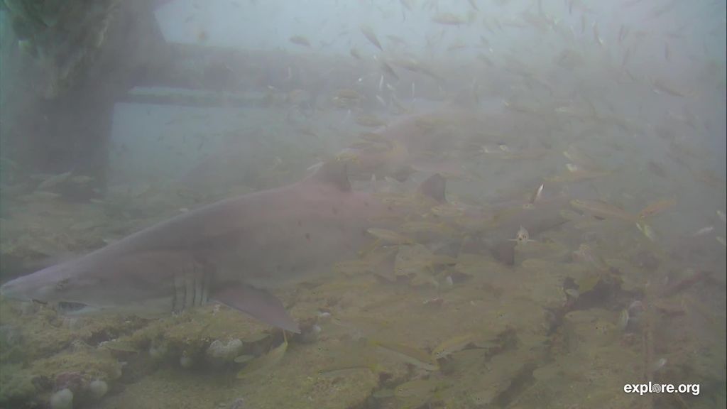 89a96681-006e-4215-b353-8945cee86256