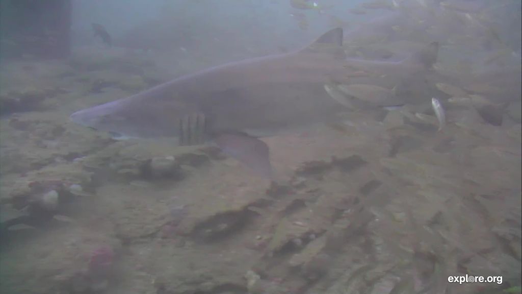 89a96681-006e-4215-b353-8945cee86256