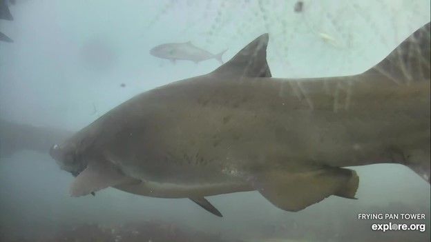 91c94482-016c-494d-bdbf-8eb0e75a38c8