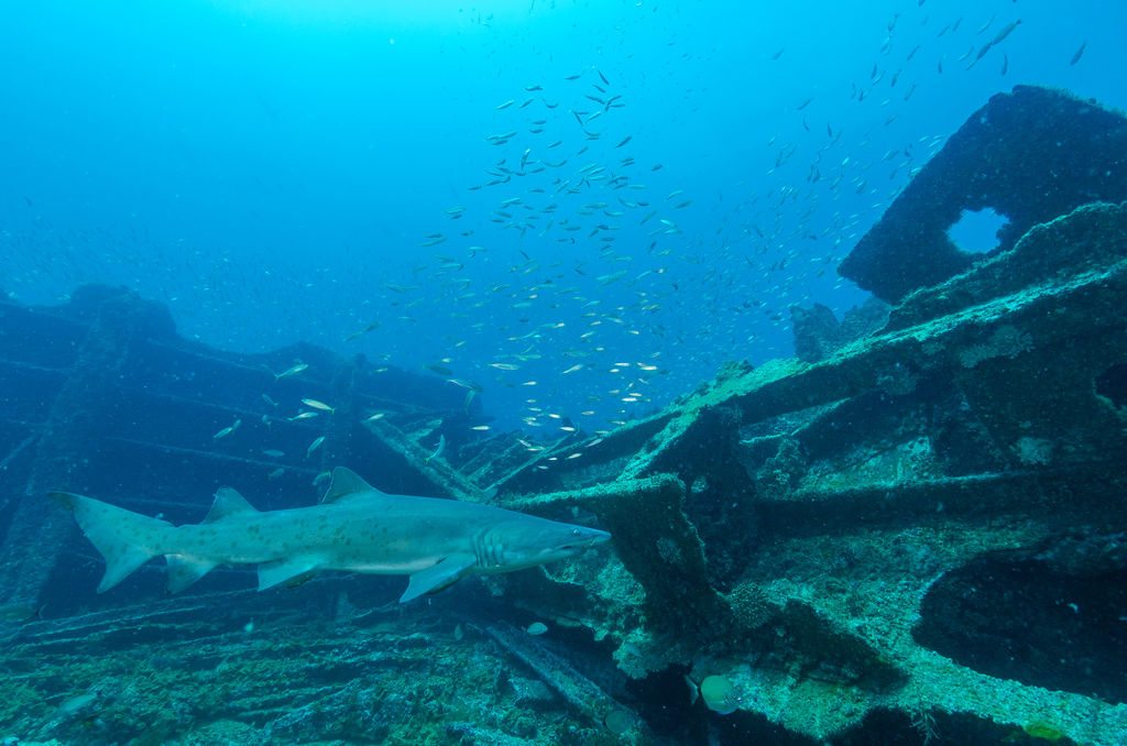 f2f3549f-a3e9-475b-a0d7-99eb13e76da7