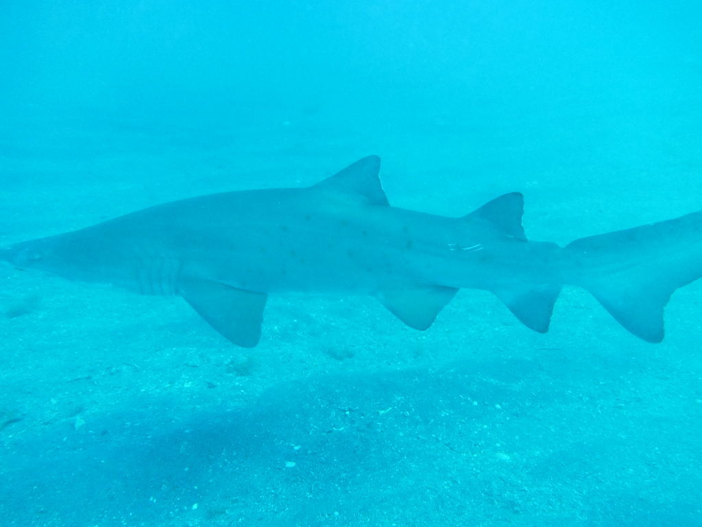 39cc4854-1dee-482b-80fb-3a7fef41229a