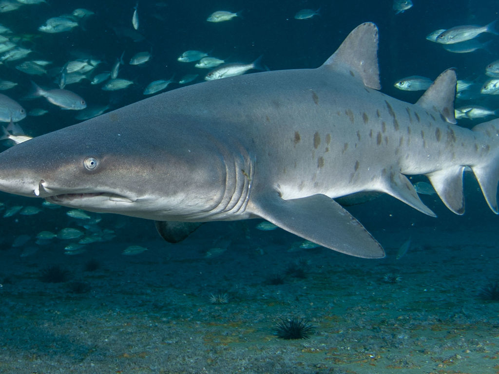 843b2589-785b-46e7-a89e-fc387413084f