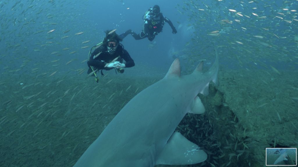 67d36b6c-92f1-4cf5-9426-1afd4e89f961