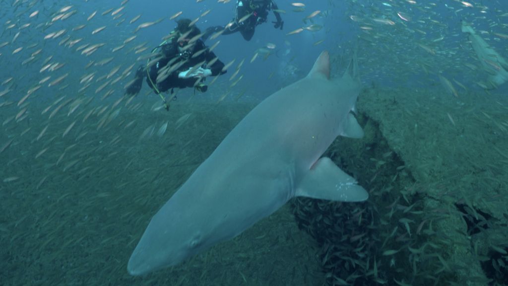 67d36b6c-92f1-4cf5-9426-1afd4e89f961