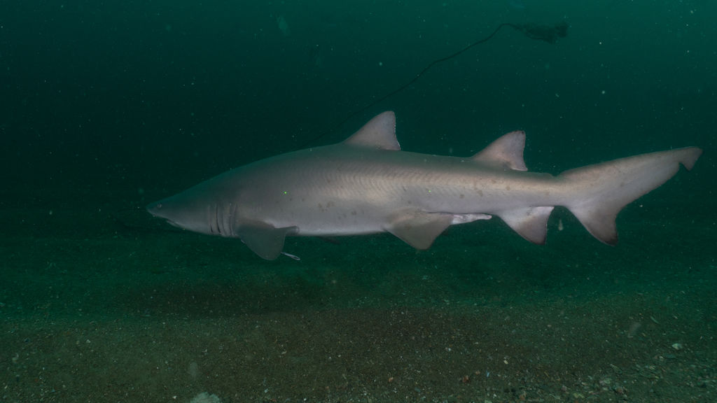 12979c95-acaf-40f3-a872-5b3aa72bc85b