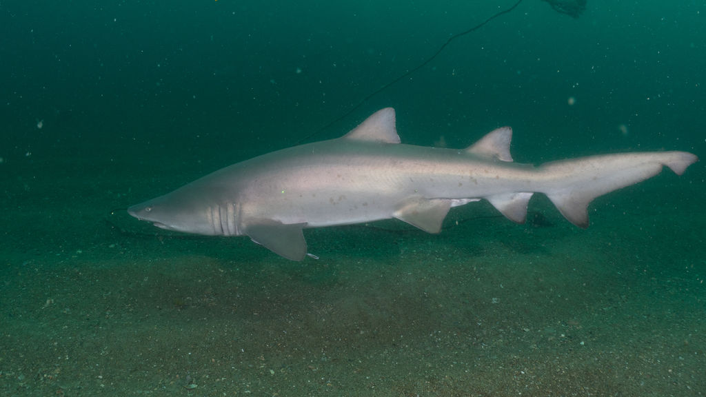 12979c95-acaf-40f3-a872-5b3aa72bc85b