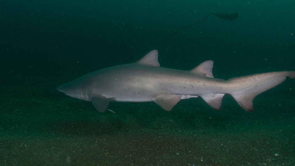 12979c95-acaf-40f3-a872-5b3aa72bc85b