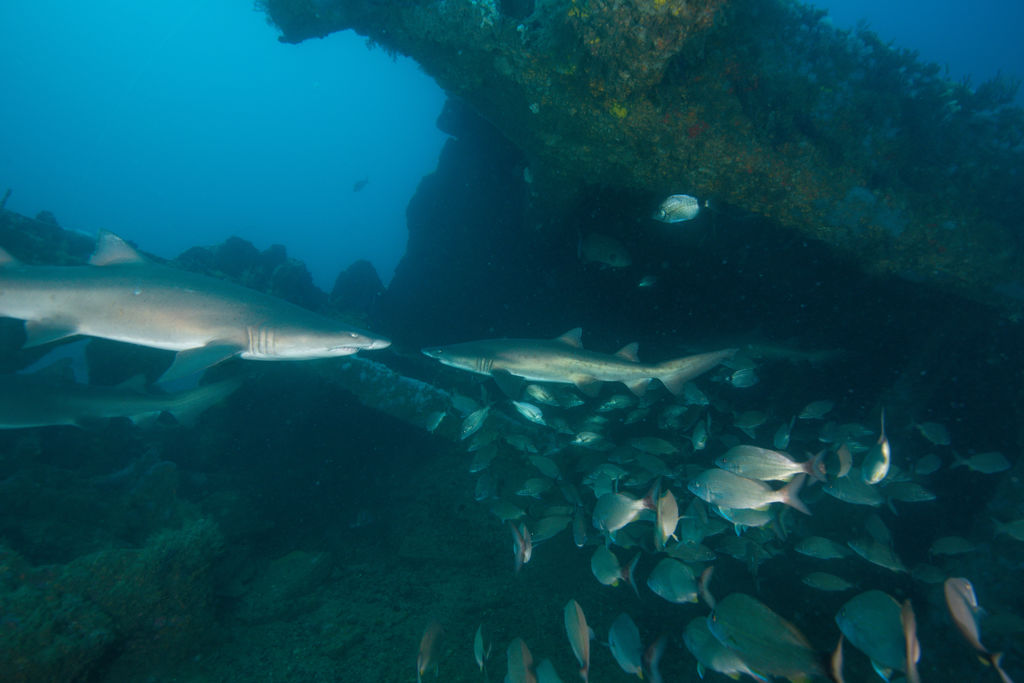 7eda4057-193c-4a9d-b9c6-b3cb870bd44d