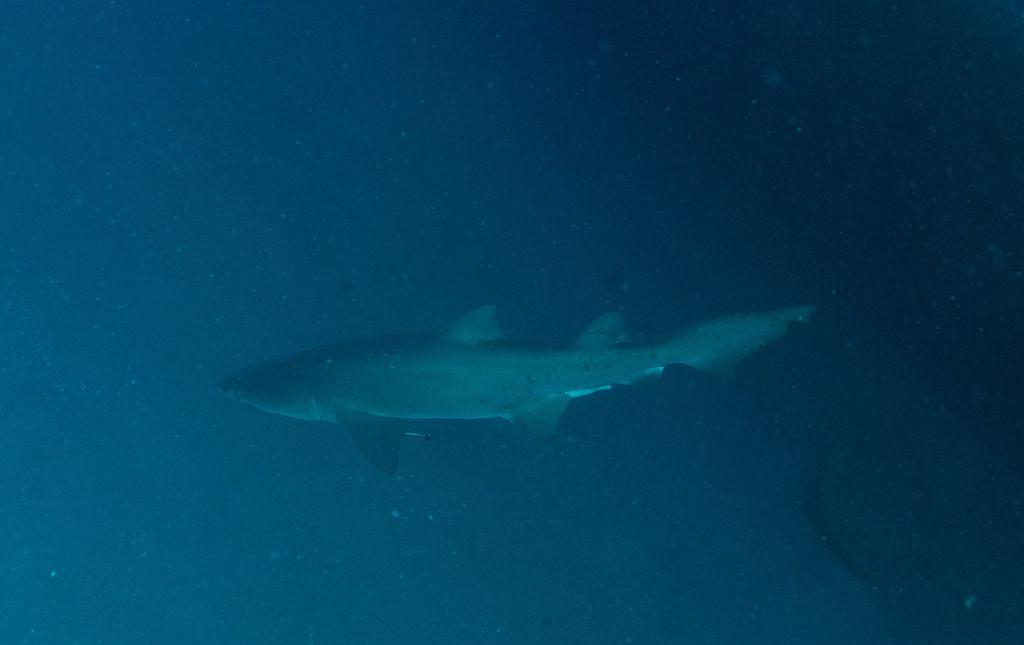 7687488b-c25d-4b24-8295-7789393ea055