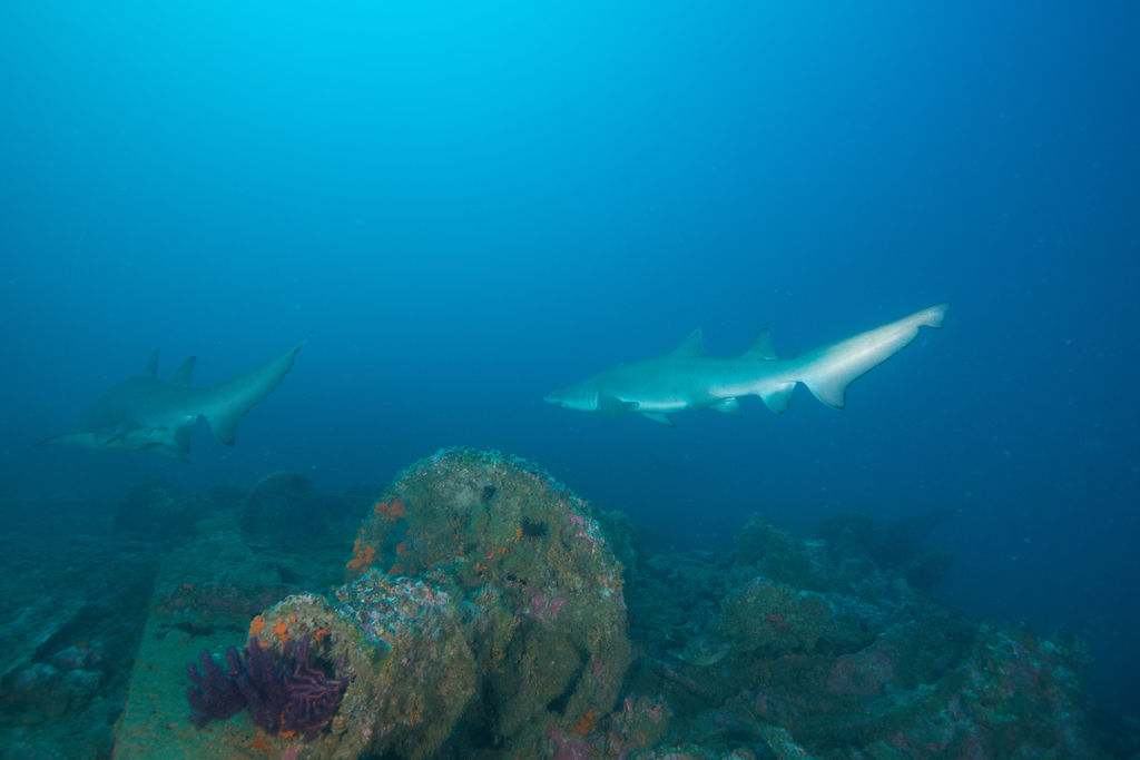 26b3d9fe-7b74-48f3-a8eb-7ad020b57019