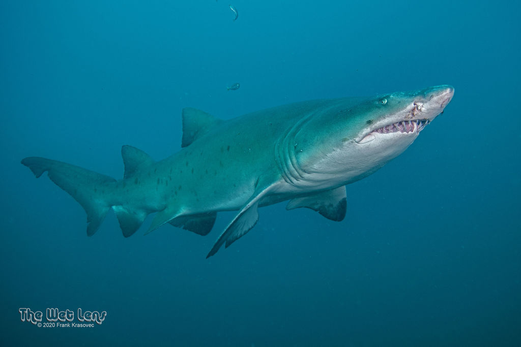 494aa8e8-fa57-4d5d-a08f-d3c11fc9c8d0