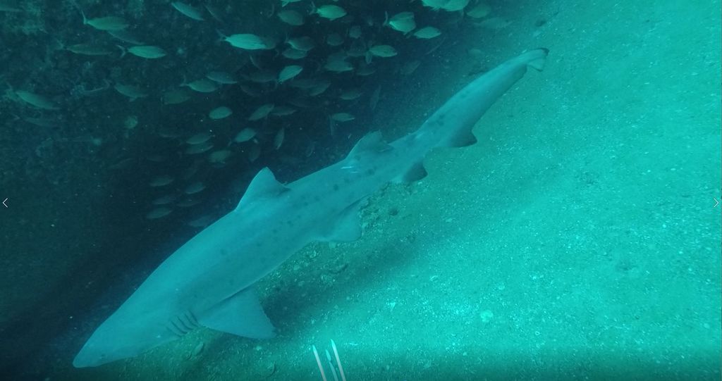 1ef15cbc-e340-410b-aefa-c03ce3c3b7e5