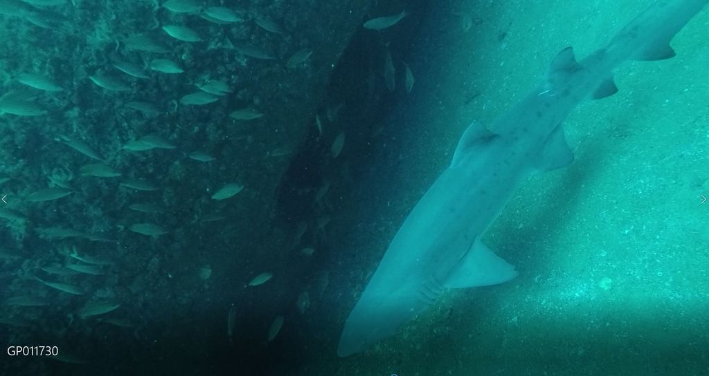 1ef15cbc-e340-410b-aefa-c03ce3c3b7e5