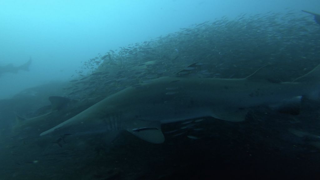 c61c24ac-f08f-4087-bba2-ed637080b648