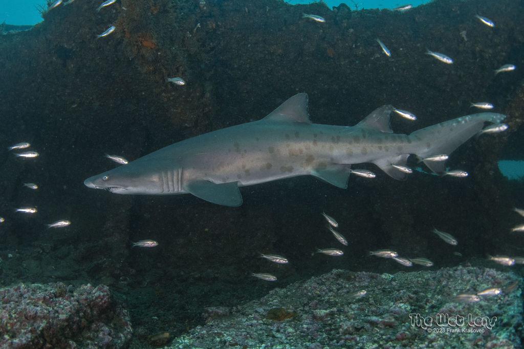 febc6572-35af-4dc8-af9c-6146d8f4ebd2