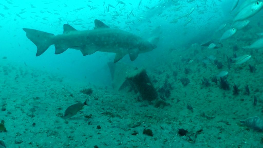 ae725d01-baa8-49be-9335-8225414a4b34