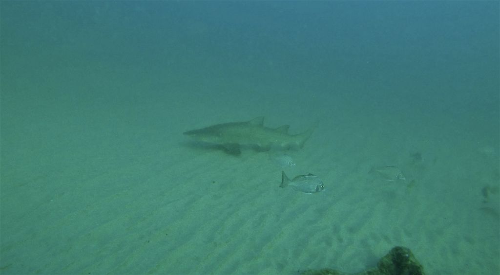 7da46cf9-f5c1-44b6-a8a6-ea1a3443d863