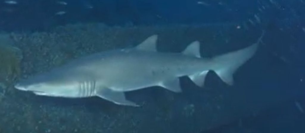 f8555c10-e4a4-4263-8a43-eb7384d3c7a8