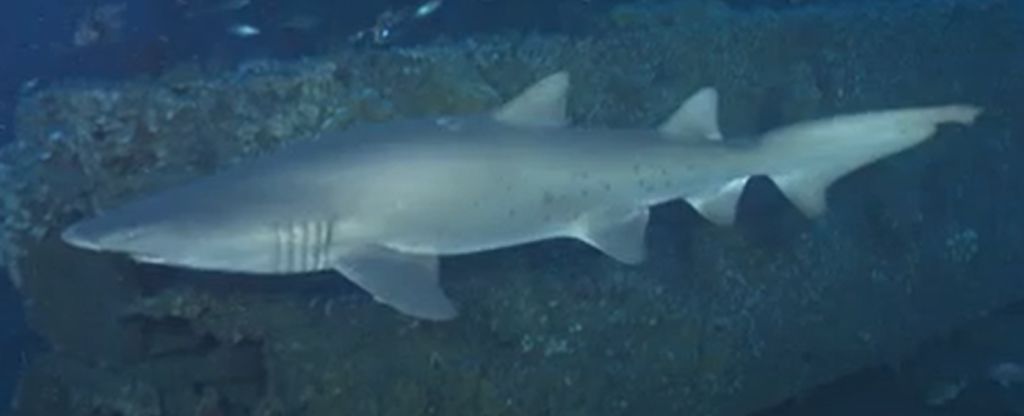 f8555c10-e4a4-4263-8a43-eb7384d3c7a8