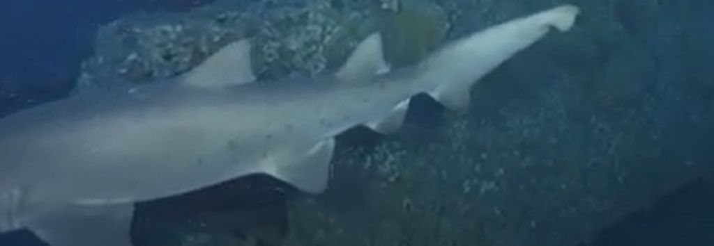 f8555c10-e4a4-4263-8a43-eb7384d3c7a8