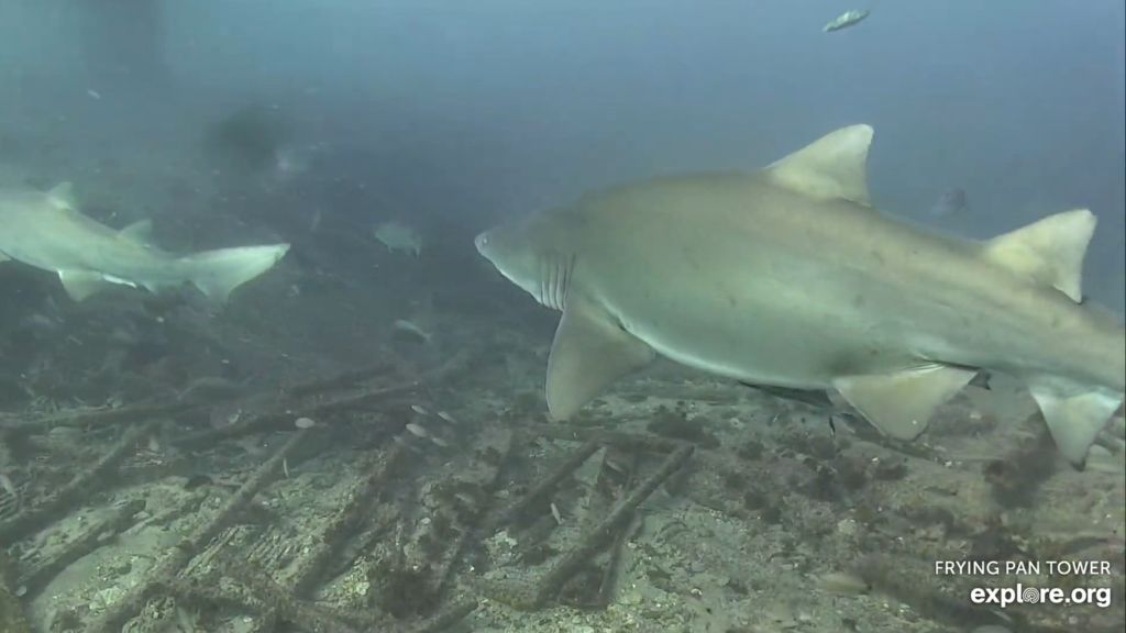 90b150c1-d60b-4bdb-97ef-df882c8acbd7