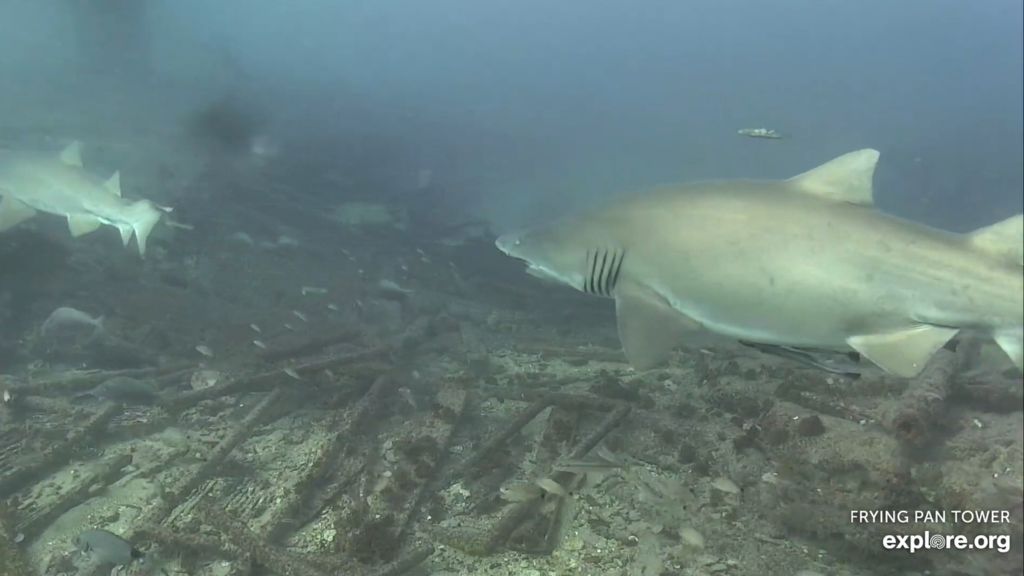 90b150c1-d60b-4bdb-97ef-df882c8acbd7