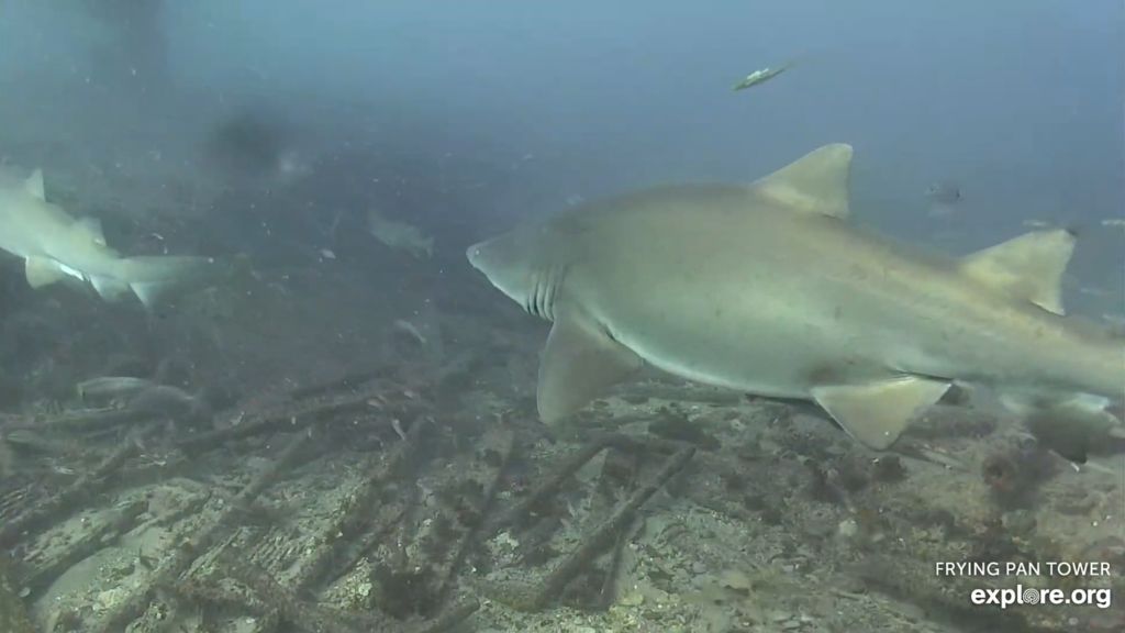 90b150c1-d60b-4bdb-97ef-df882c8acbd7