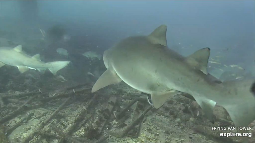 90b150c1-d60b-4bdb-97ef-df882c8acbd7