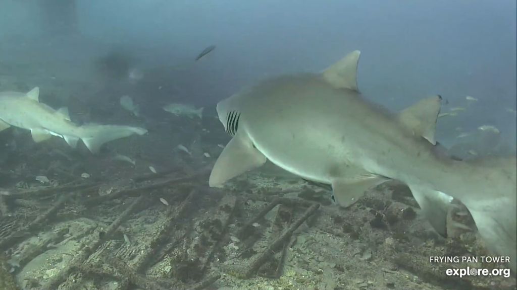 90b150c1-d60b-4bdb-97ef-df882c8acbd7