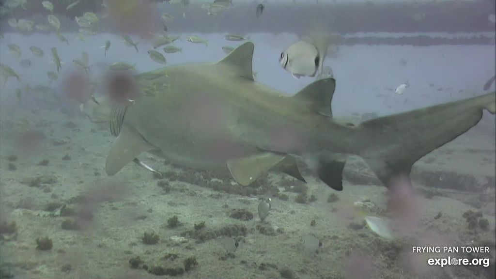 6e733470-010b-4bdb-a4de-6a6c0034dfaf