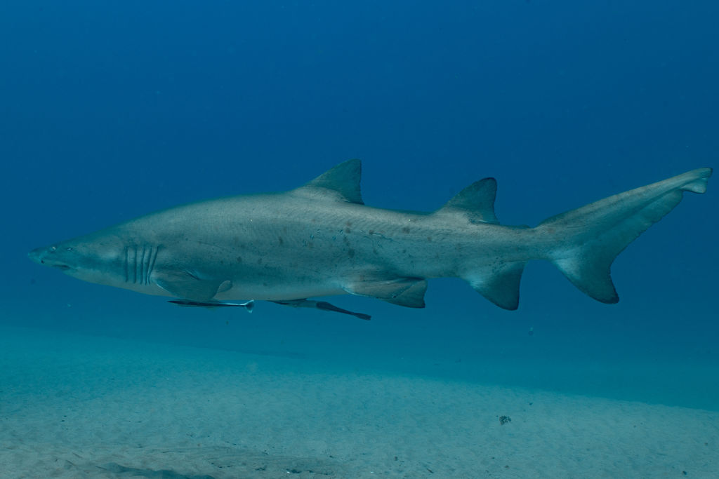 c9379bfa-2ed7-4d7d-b3af-9234bb6c81e7