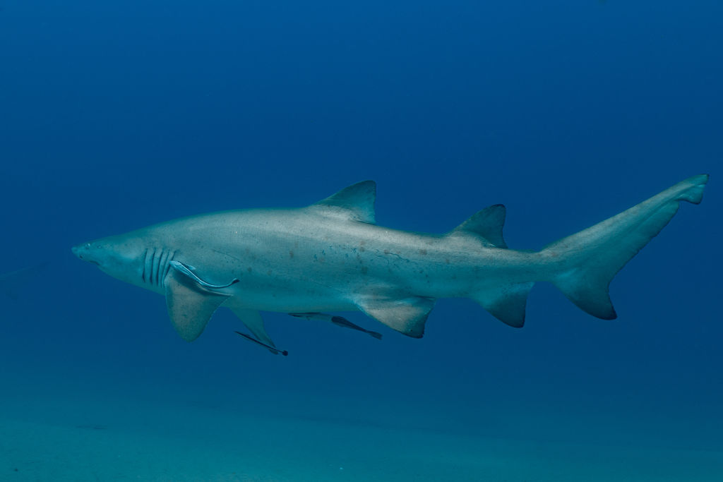 c9379bfa-2ed7-4d7d-b3af-9234bb6c81e7