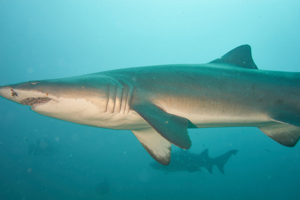 67343b45-9784-42be-a35c-113e1d868061