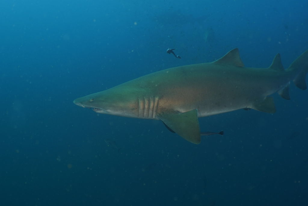 580936b1-cb8b-484d-addb-e09e252db8c4