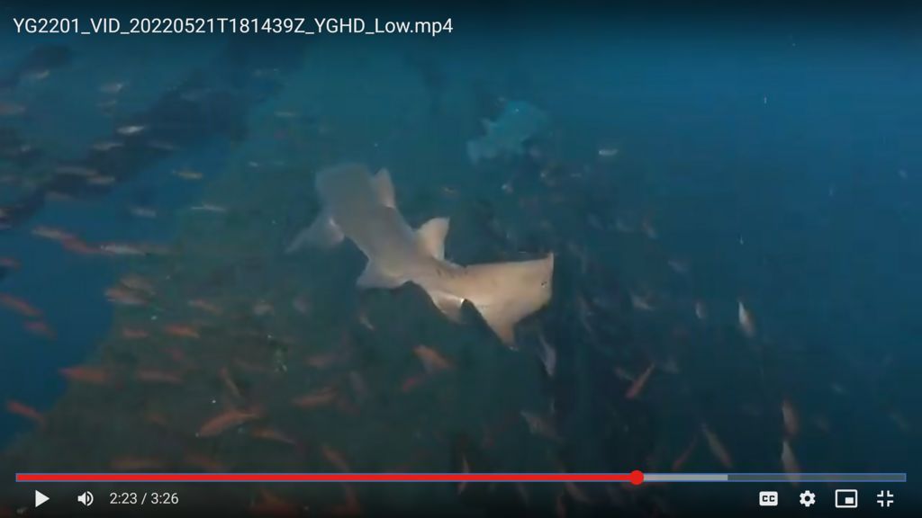 1c304b75-f09c-42b8-a3c1-add3e4e8534c