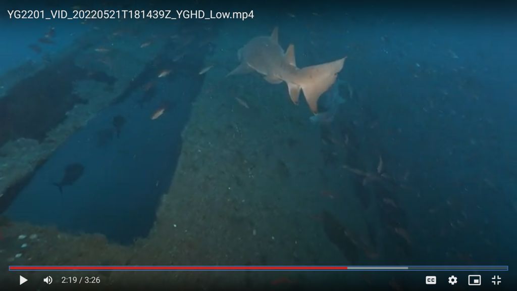 1c304b75-f09c-42b8-a3c1-add3e4e8534c