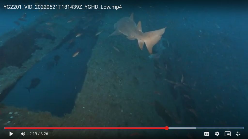 1c304b75-f09c-42b8-a3c1-add3e4e8534c