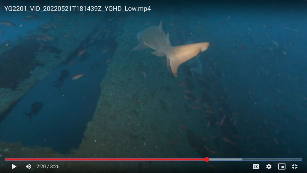 1c304b75-f09c-42b8-a3c1-add3e4e8534c