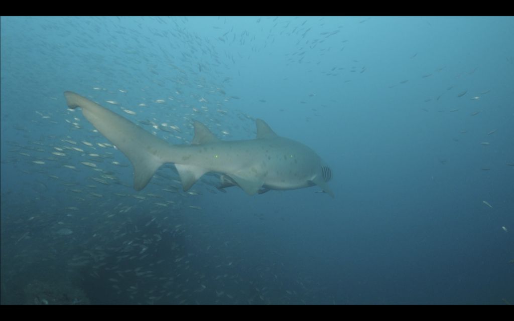 d6a4a3dc-4d09-46b6-afd5-24ae9d7c17e1