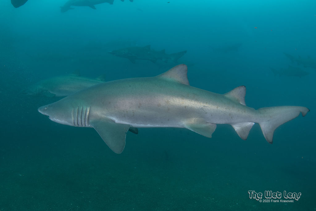 8309c4a6-3ac6-4a01-8973-d5b34b93bcff