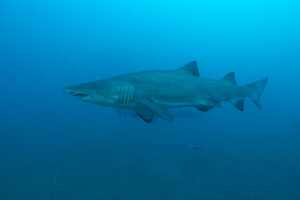 65403453-8402-426a-acff-71fd3959b95c