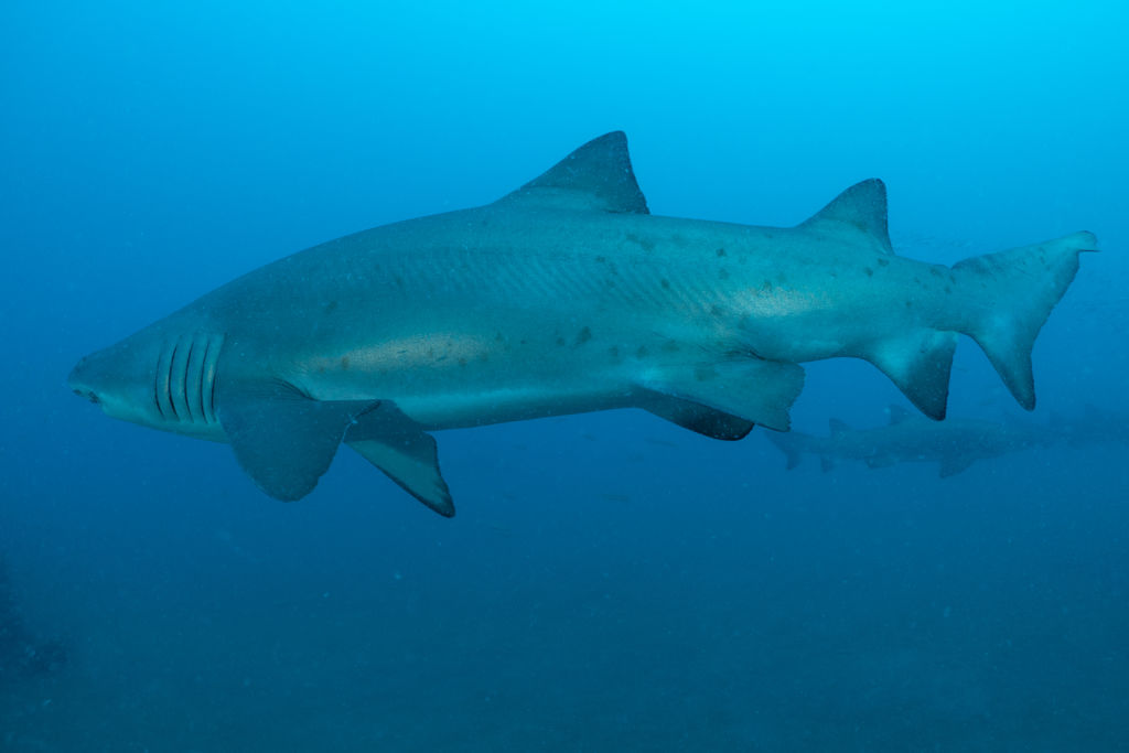 65403453-8402-426a-acff-71fd3959b95c