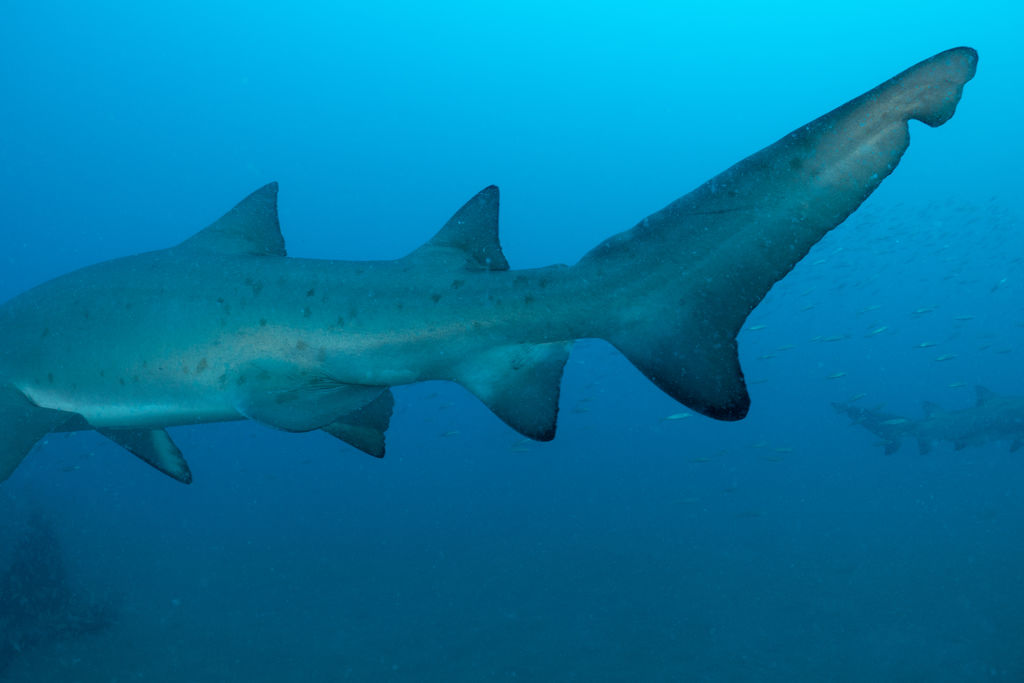 65403453-8402-426a-acff-71fd3959b95c