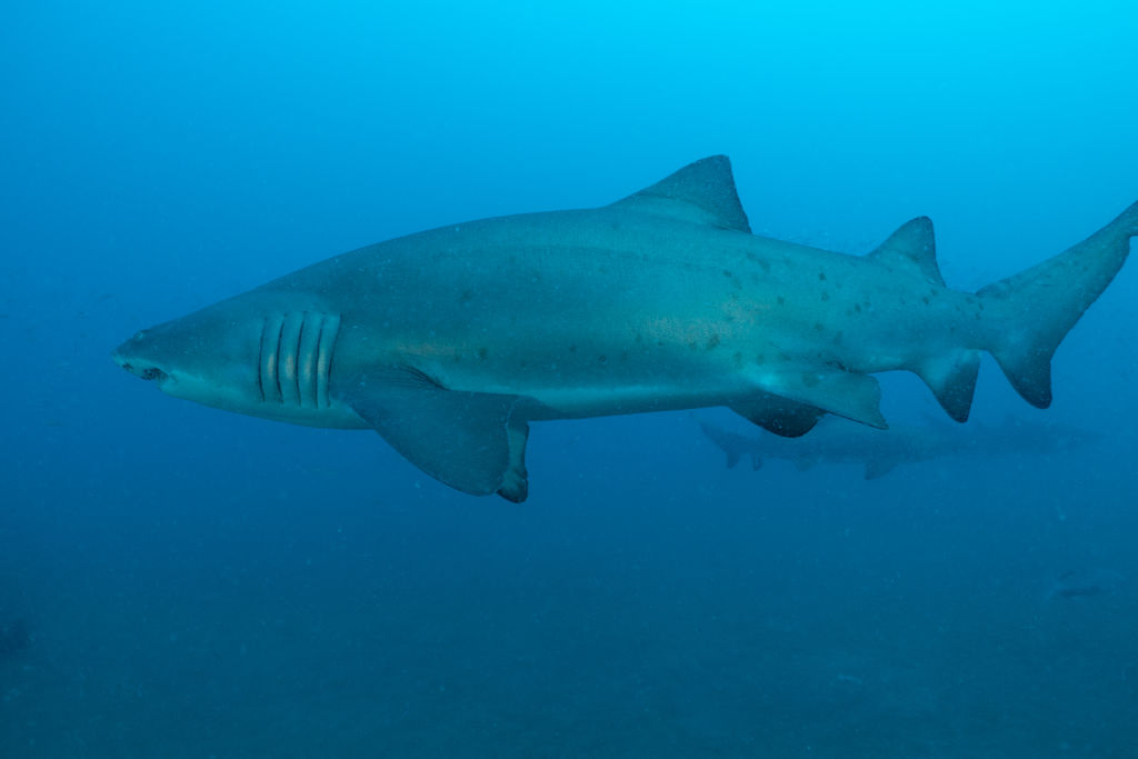 65403453-8402-426a-acff-71fd3959b95c