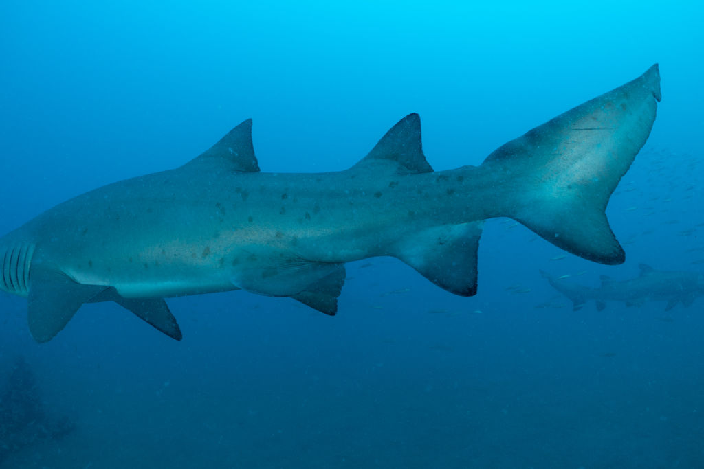 65403453-8402-426a-acff-71fd3959b95c