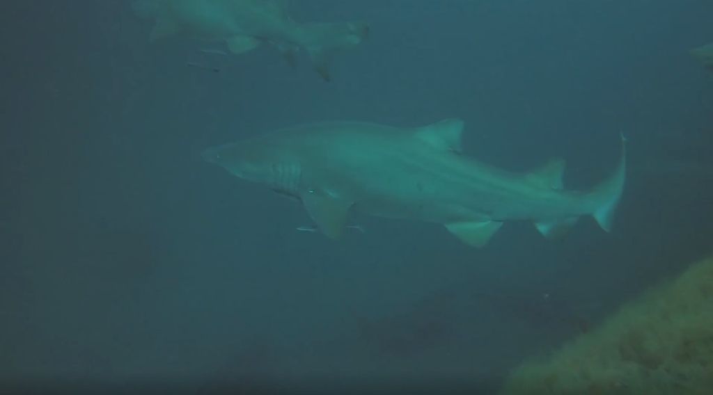 5b0cfaca-7a99-491b-a932-b70e5655ceb4