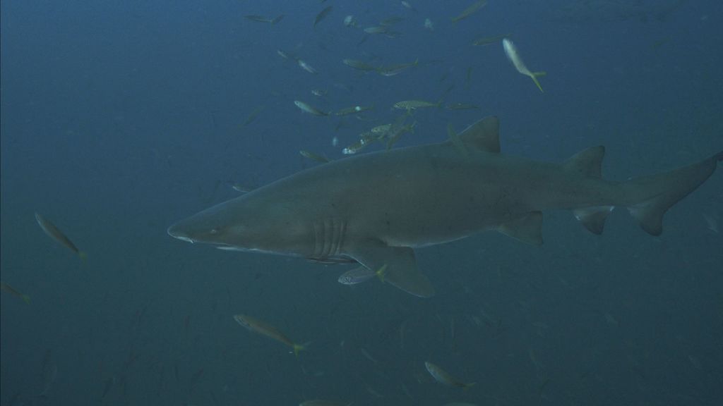 2a8f7acb-50ed-4314-8274-4b3ac3834690