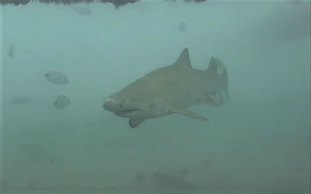 f1961e48-15b6-443f-8f82-d36e186f078b