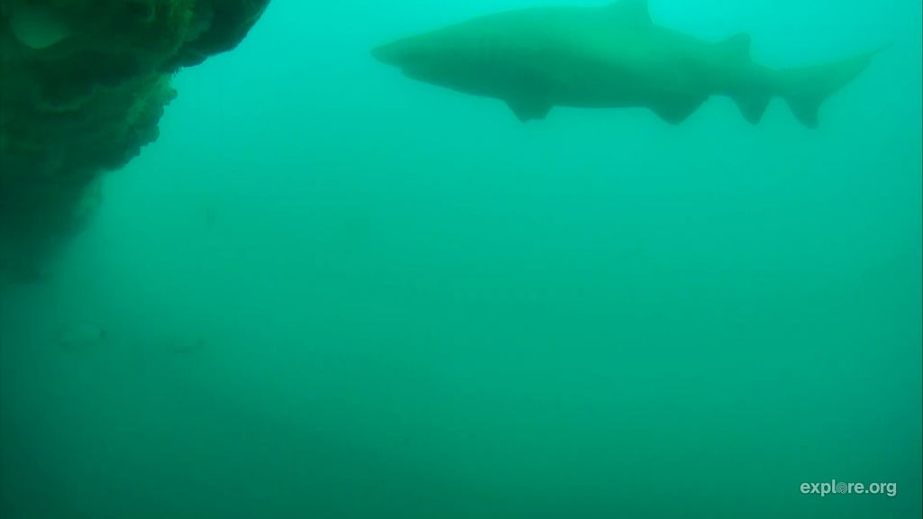 4d21c181-8348-41bb-b6c8-b7816aa20d39